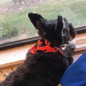 Meet your Posher, Jill